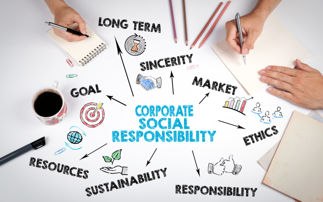 La responsabilité sociétale des entreprises (RSE)