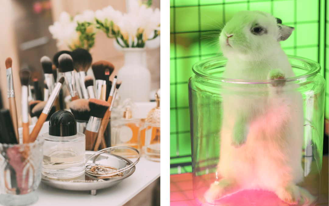 L’interdiction de l’expérimentation animale des cosmétiques