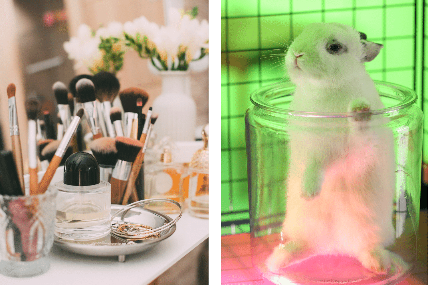 cosmetiques et experimentation animale